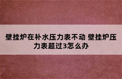 壁挂炉在补水压力表不动 壁挂炉压力表超过3怎么办